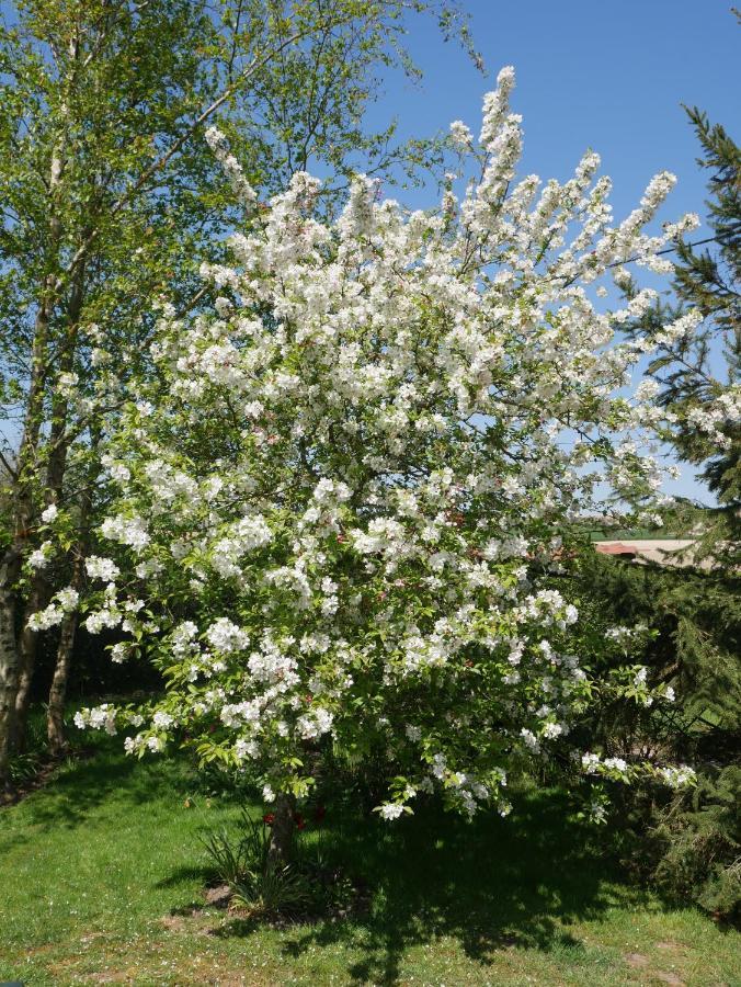 Bed and Breakfast Opale Des Caps Leubringhen Екстер'єр фото